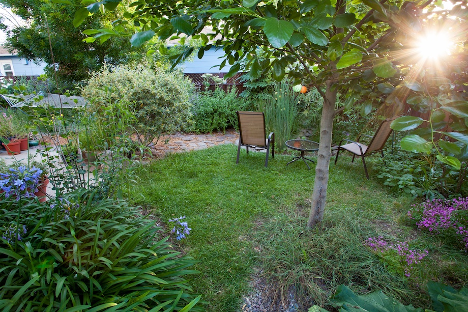 Barefoot lawn in a small garden
