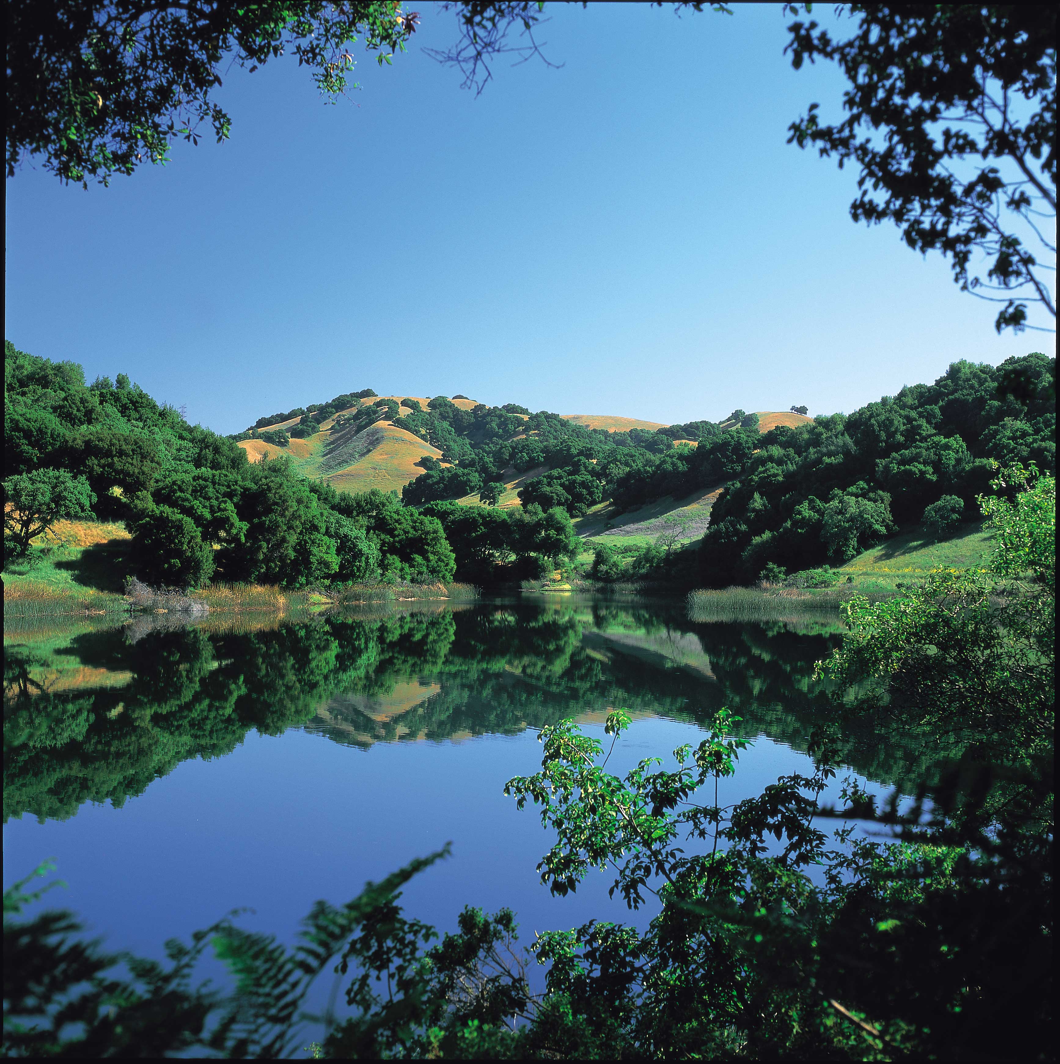 Briones Reservoir covers 725 acres in Contra Costa County and is owned and operated by EBMUD for raw water storage.