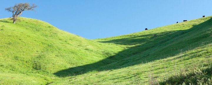 Image for page: Sustainability