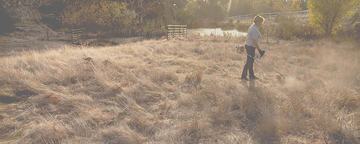 Image for page: Vegetation management