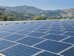 Solar-Panels-7647-250px.jpg