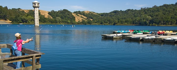 Image for page: East Bay