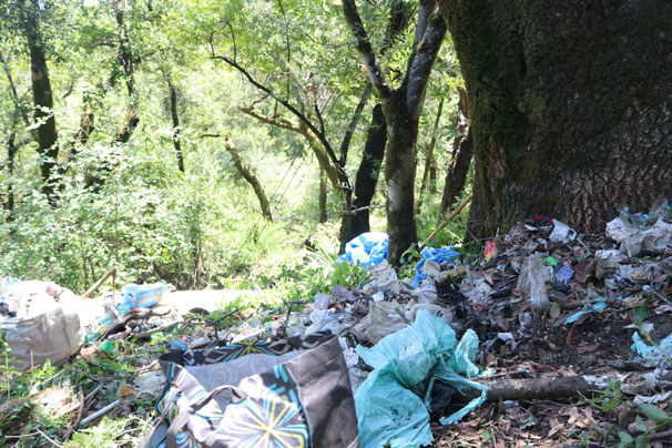 Illegal trash dumping on the protected watershed has been on the rise