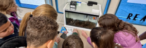 Students looking at Salmon eggs in tank