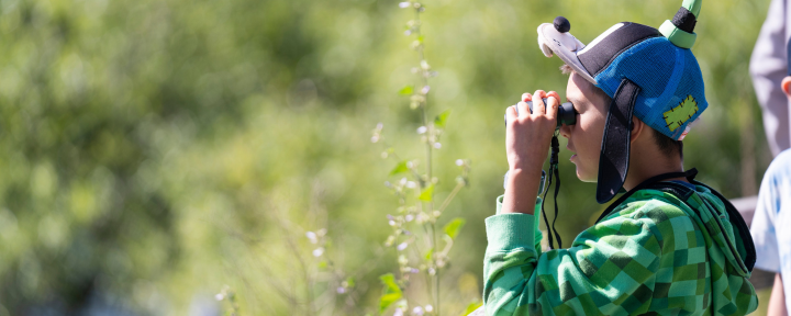 Image for page: Education resources