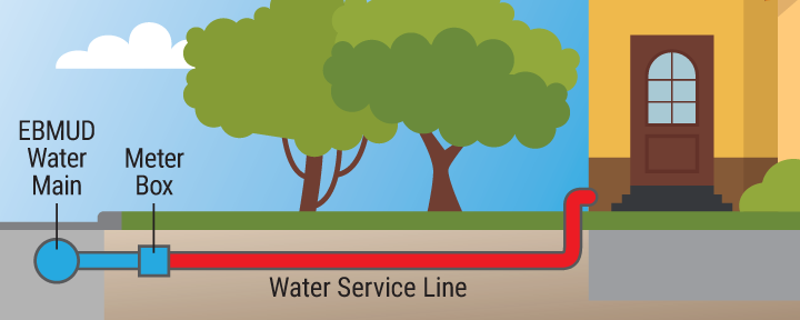 Image for page: Service line insurance