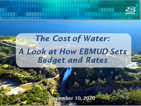 The Cost of Water Presentation Cover.PNG