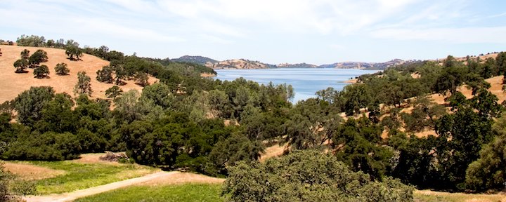 Image for page: Sierra foothills