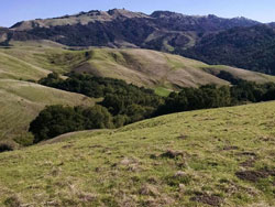 Carr-Ranch-1-250px.jpg