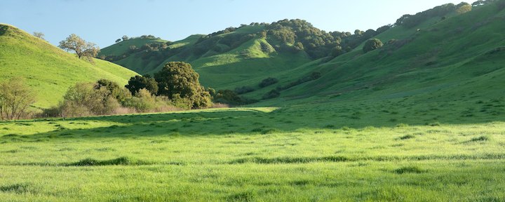 Image for page: Protecting natural habitat