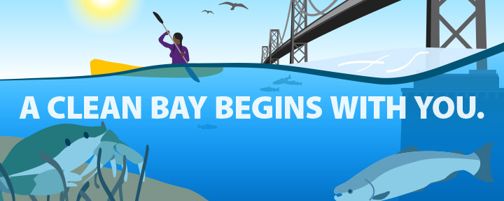 Image for page: Bay friendly waste disposal