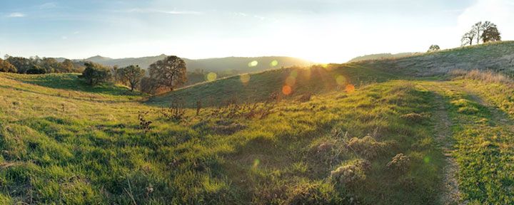 Image for page: Recreation user survey