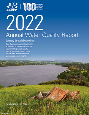 Annual Water Quality Report, 2022