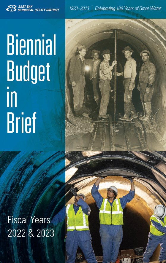Cover Of Budget In Brief