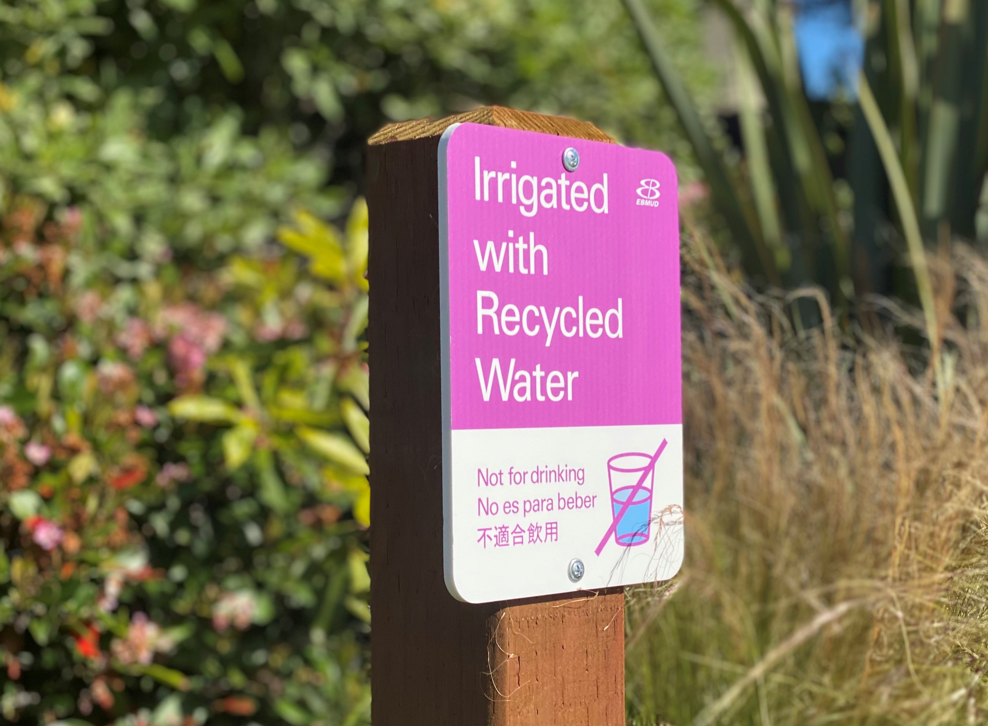 Using recycled water for landscape irrigation eases the demand for potable water