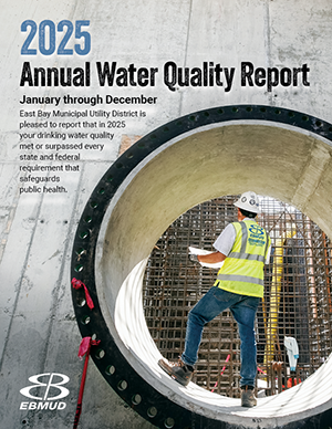 AWQR 2024 COVERTHUMB