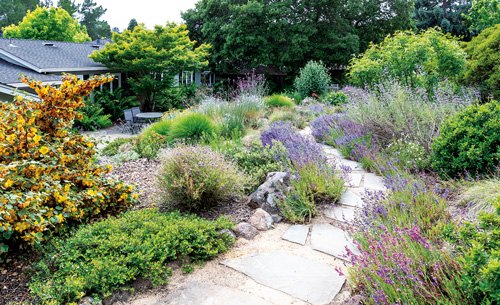 get-inspired-by-the-beauty-of-water-wise-gardens-east-bay-municipal