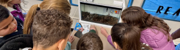 Students observing salmon eggs
