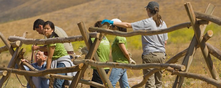 Image for page: Volunteer