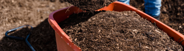 Outdoor Tips Banner  Build Healthy Soil
