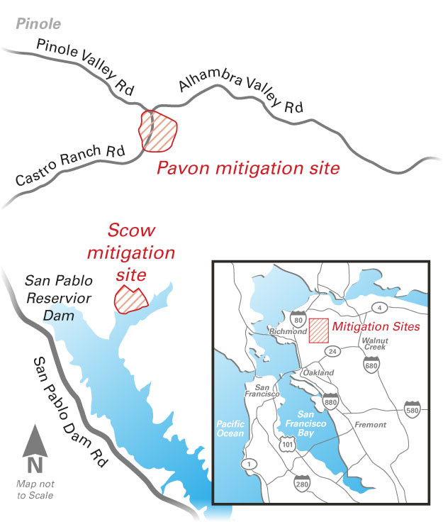 Pavon Creek and Scow Canyon Mitigation