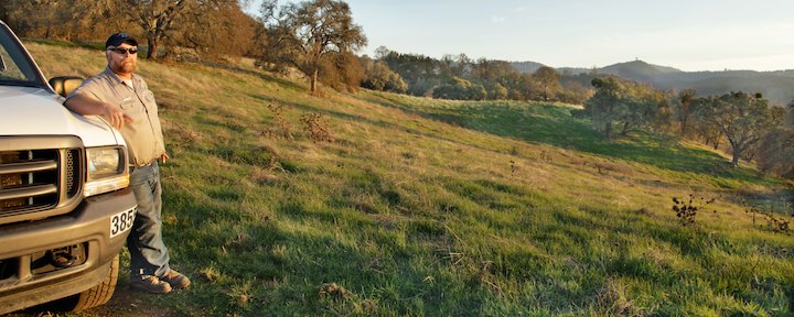 Image for page: Rules and regulations