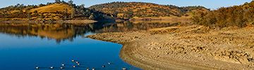Camanche