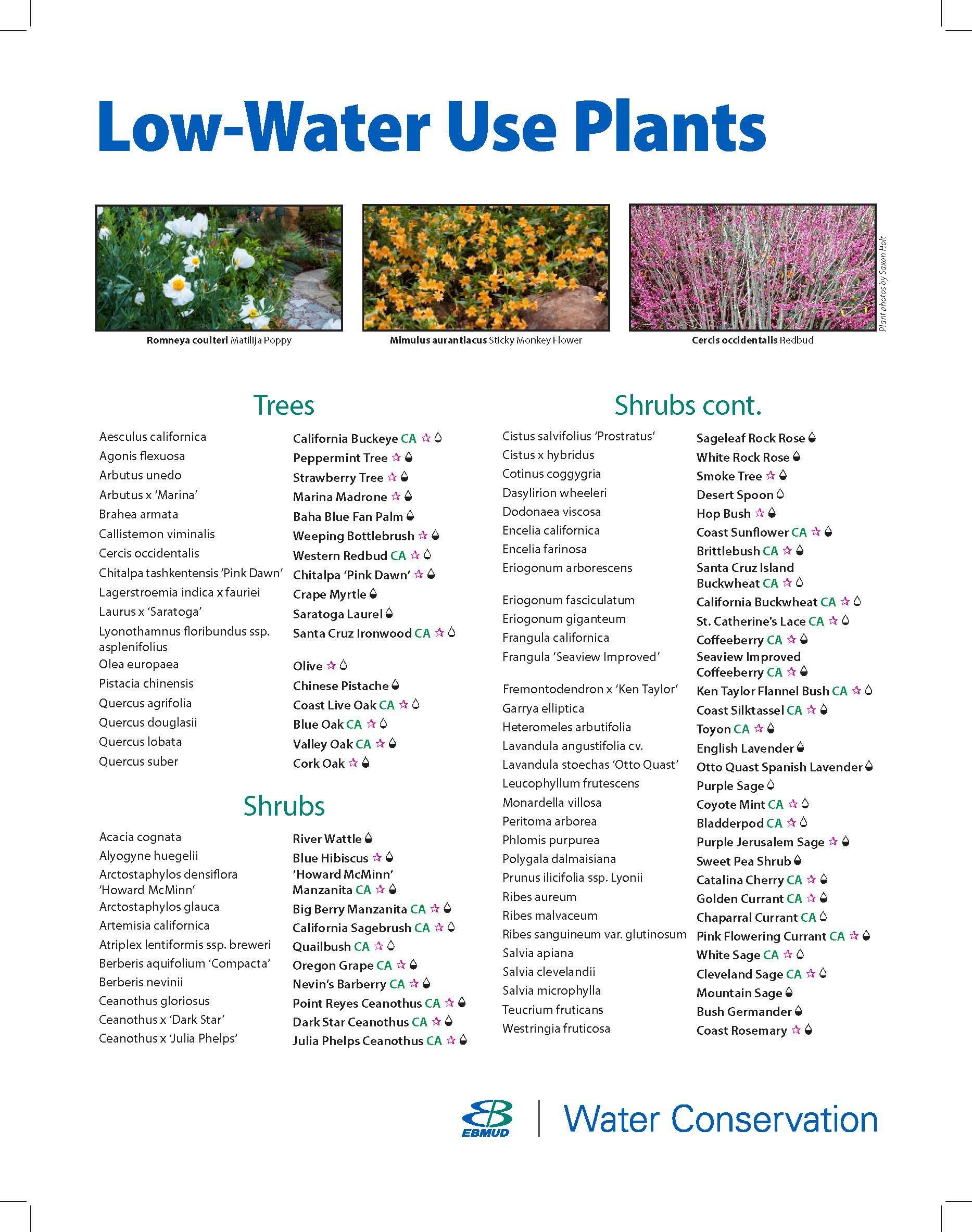 Flier bundle Low water plant list East Bay Municipal Utility District