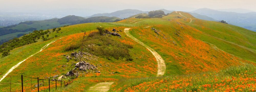 Watershed walks to kickstart the year