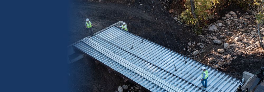 Creek restoration supports East Bay steelhead