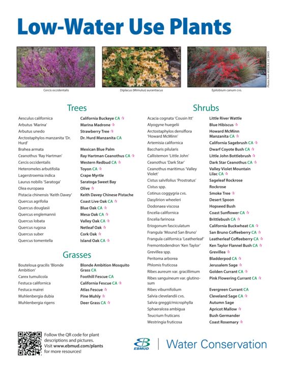 Flier bundle - Low water plant list