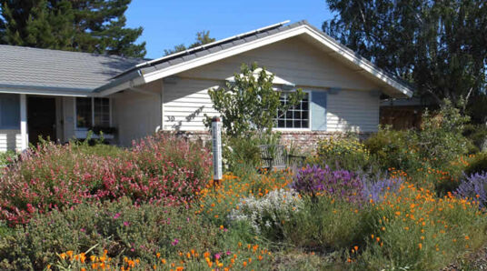 California Lawn Rebate 2023 Application