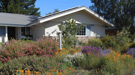 Ebmud Irrigation Rebate