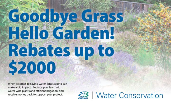 Water Conservation Landscape Rebate