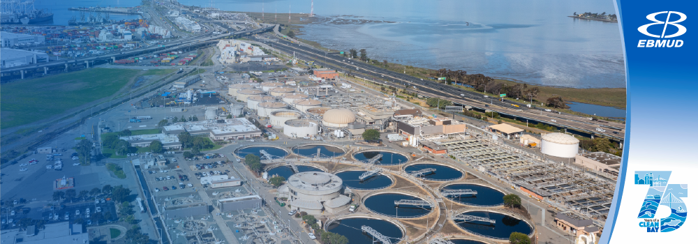 Celebrate a Clean Bay