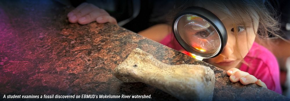 Quenching a thirst for knowledge