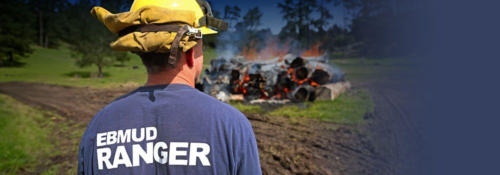 Wildfire preparedness