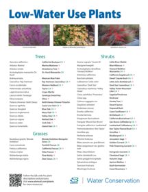 Flier bundle – Low water plant list