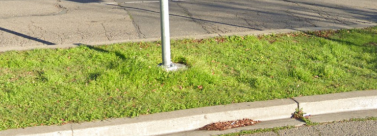 lawn-conversion-rebate-east-bay-municipal-utility-district