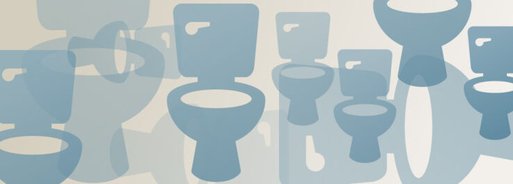 California Toilet Rebates