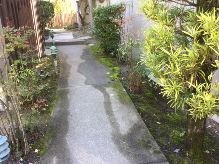 Water waste with spray irrigation