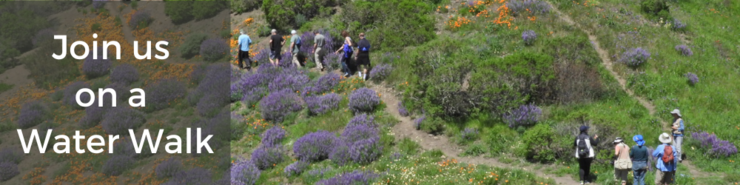 Join Us For A Water Walk