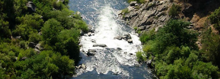 water-trans-article.jpg