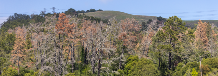 Pipeline Sep Oct 2021 Fire Danger CAROUSEL 1000x350