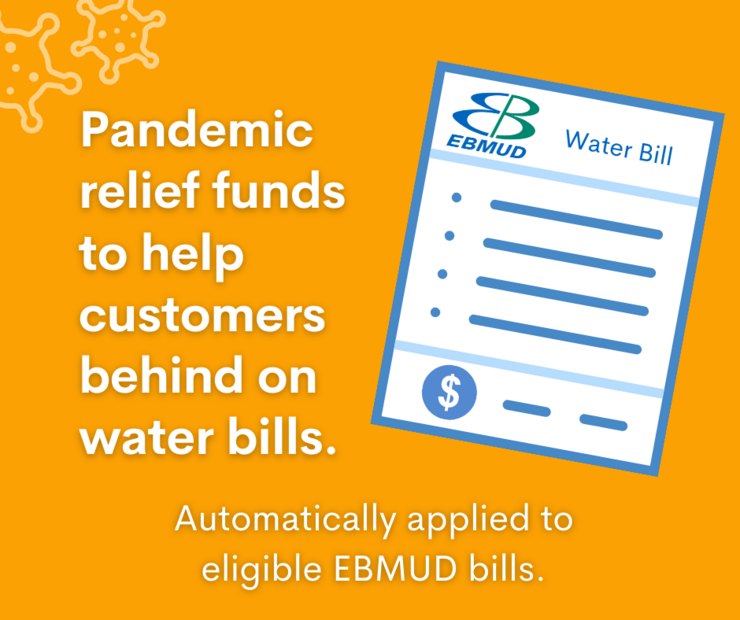 Pandemic Financial Relief 