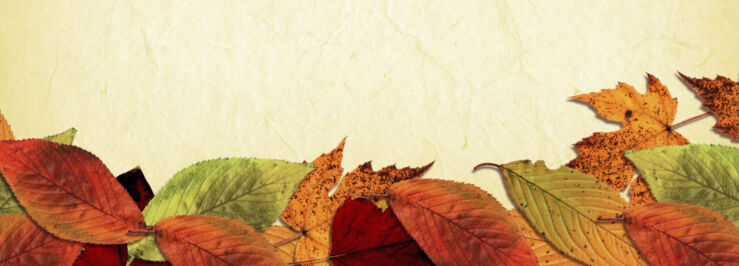 fall-wind-down-1000x360px.jpg