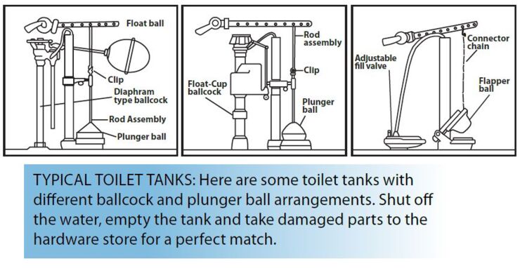 Typical toilet leaks graphic