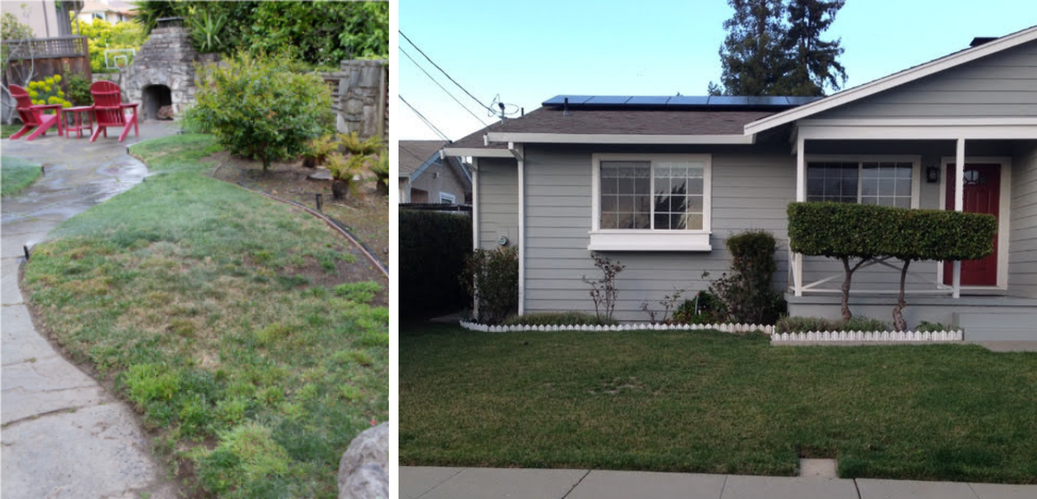 Photo of existing lawn areas to be converted.