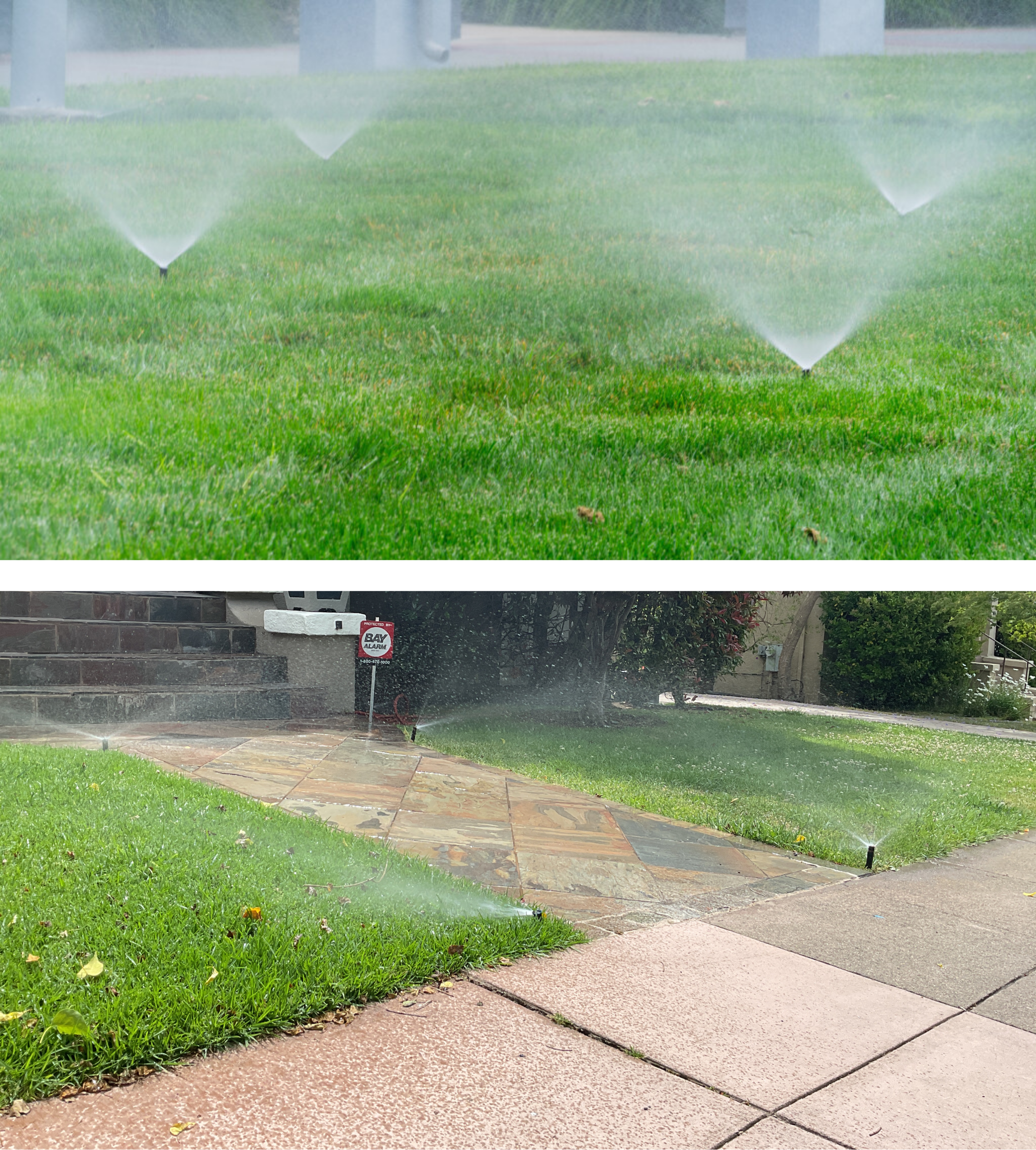 Before photos of your existing functional sprinklers showing the irrigation zone watered with inefficient fixed spray nozzles.