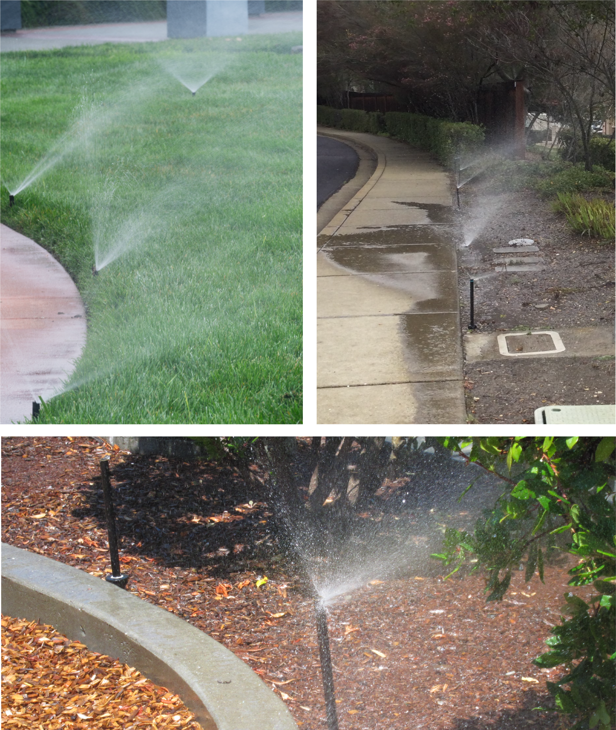 Photos of your existing functional sprinklers turned on.